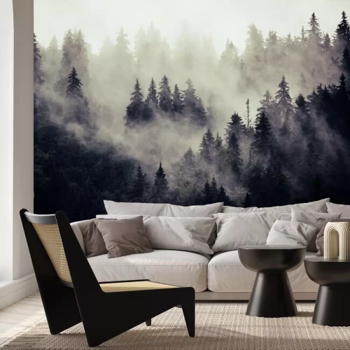 Papier peint  Forêt de sapins mystérieuse