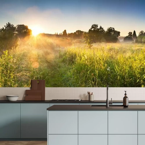 Papier peint  Prairie forestière et lever de soleil
