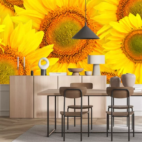 Sticker  Modèle avec des tournesols