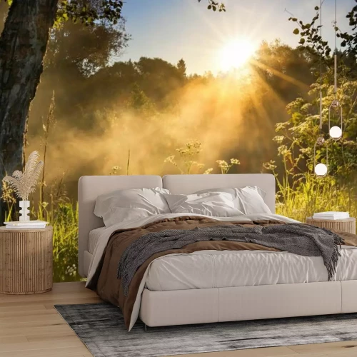 Papier peint  Paysage d'une prairie avec lever du soleil