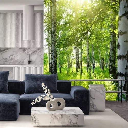 Papier peint  L'été dans une forêt de bouleaux