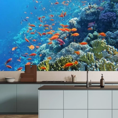 Papier peint  Le monde marin sous-marin