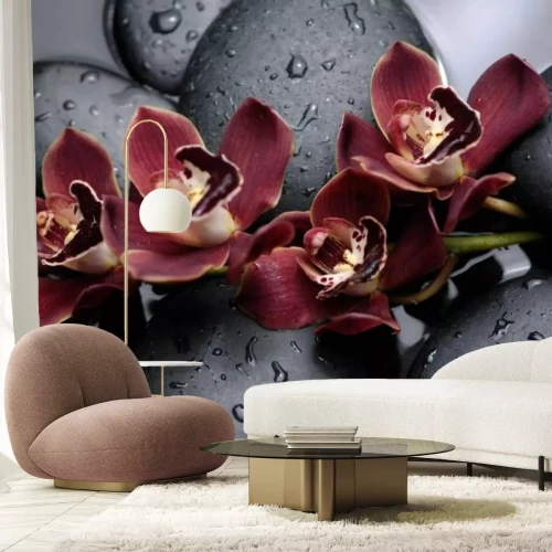 Papier peint  Belles orchidées sur des pierres noires