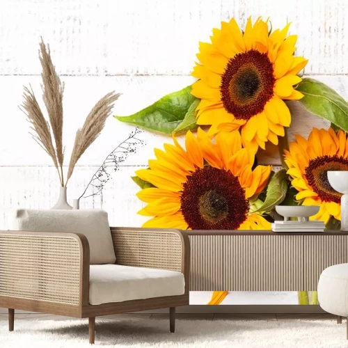 Sticker  Tournesols allongés sur des tableaux blancs
