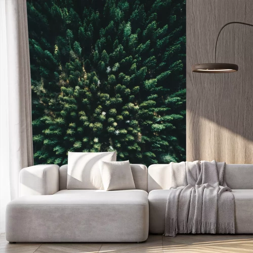 Papier peint  La nature vue d'en haut