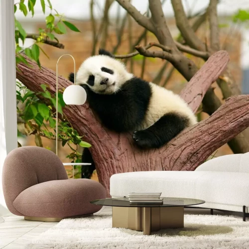 Papier peint  Panda sur l'arbre