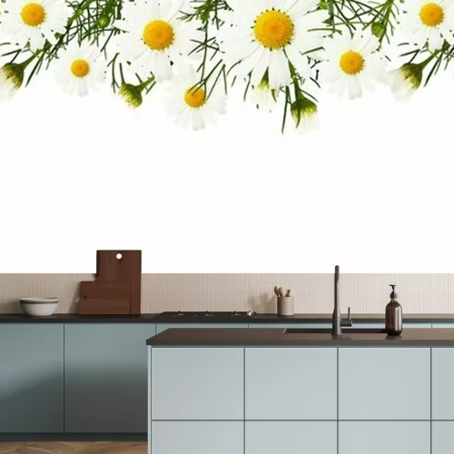 Papier peint  Pâquerettes au printemps