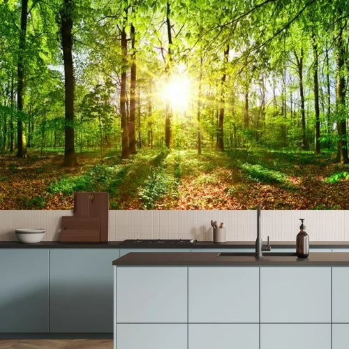 Papier peint  Journée d'été dans la forêt