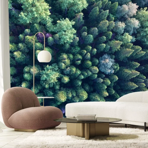 Papier peint  Paysage forestier vu d'un œil d'oiseau