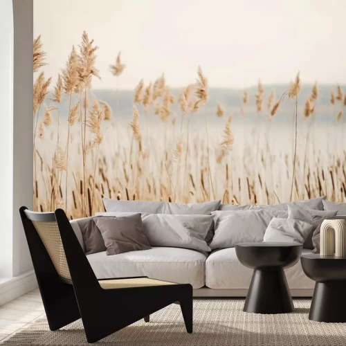 Papier peint  Au bord du lac avec de l'herbe