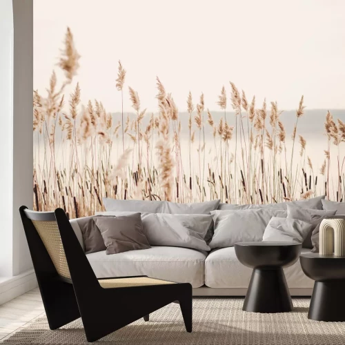 Papier peint  Au bord du lac avec de l'herbe