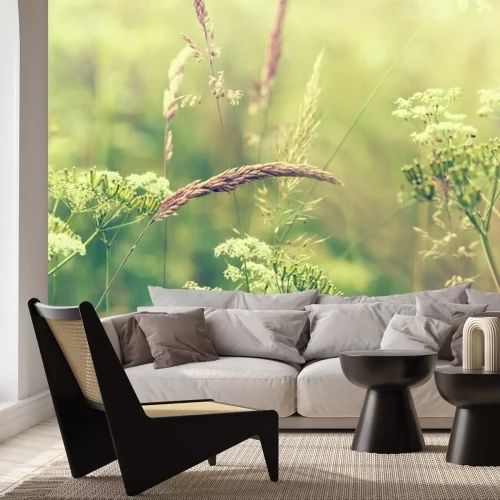 Papier peint  Nature et prairie en fleurs