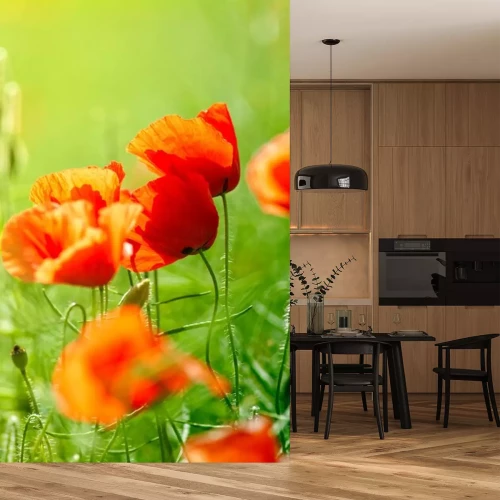 Sticker  Fleurs rouges sur un pré vert