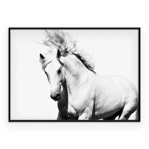 Poster  Portrait en noir et blanc d'un cheval