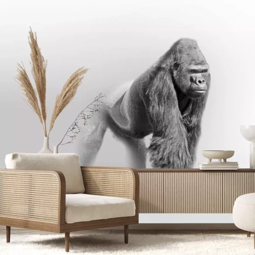 Sticker  Dessin noir et blanc d'un gorille mâle
