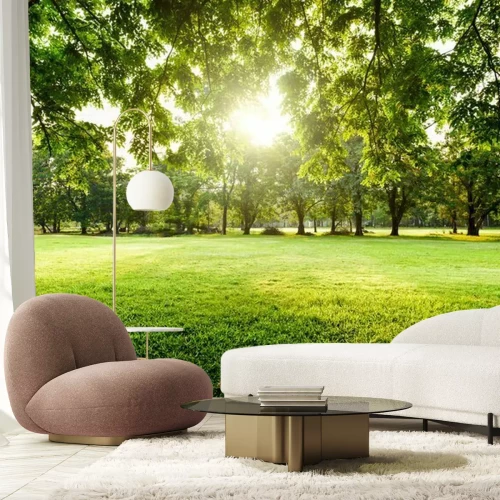 Papier peint  Prairie déserte dans un parc