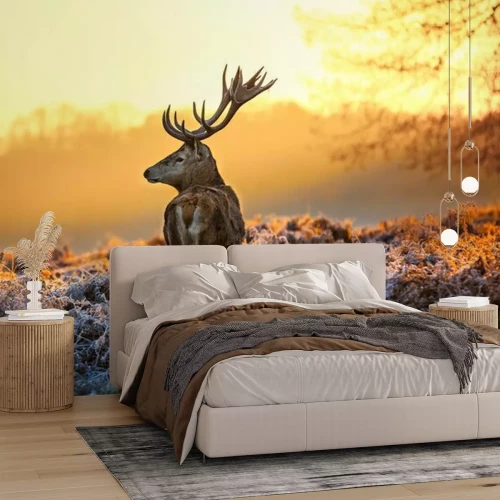 Papier peint  Cerf au lever du soleil