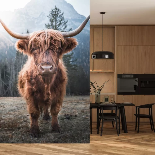 Papier peint  Vache écossaise au pied des montagnes