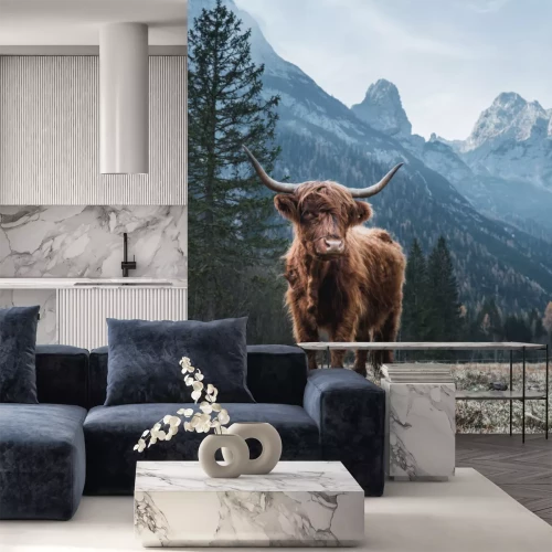Papier peint  Vache des Highlands dans les montagnes