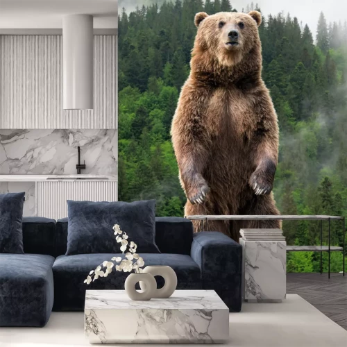 Papier peint  Un grand ours brun dans un paysage brumeux