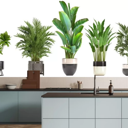 Sticker  collection de plantes ornementales en pots