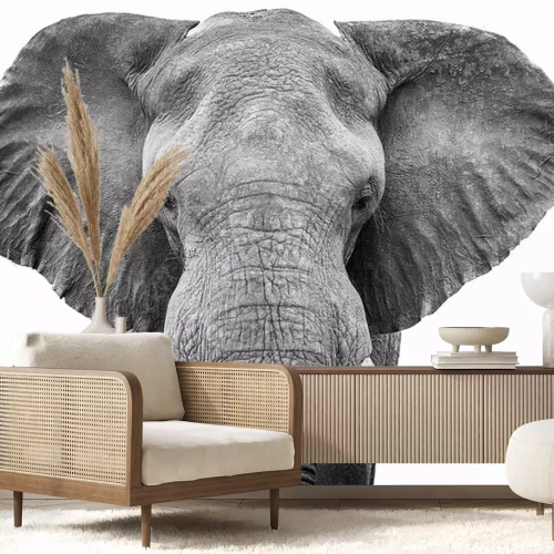 Sticker  Dessin noir et blanc d'un éléphant marchant