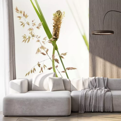 Papier peint  La nature sous forme d'herbes