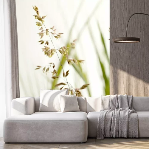 Papier peint  Les graminées dans la nature