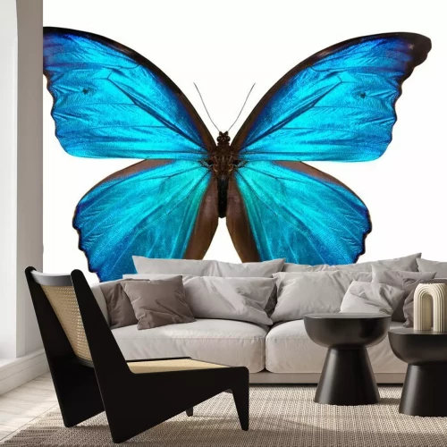Papier peint  Papillon tropical tonalité bleue