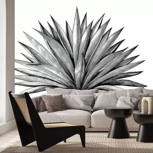 Sticker  Graphiques montrant un agave étalé