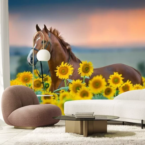 Papier peint  Cheval au milieu des tournesols