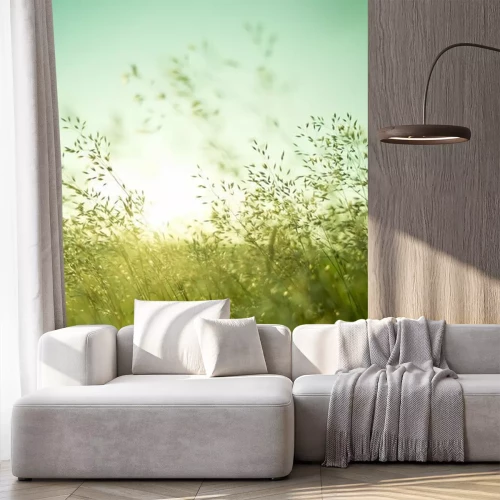 Papier peint  Des herbes fines se balançaient dans le vent.