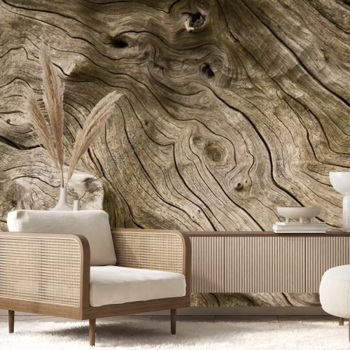 Papier peint  Texture vieille planche de bois