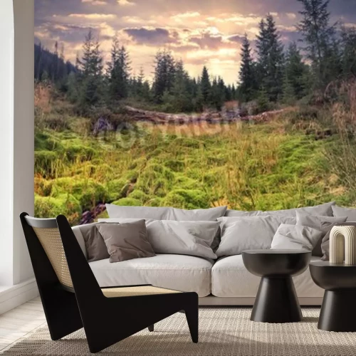 Papier peint  Paysage vert en été