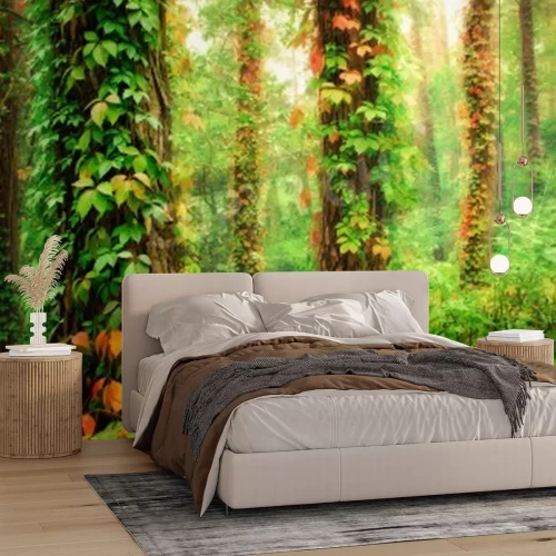 Papier peint  Arbres envahis par les plantes