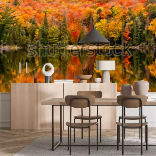 Papier peint  La couleur d'automne se reflète dans les eaux calmes du lac Canisbay, parc provincial Algonquin, Ontario, Canada