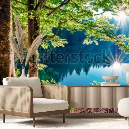 Papier peint  Nature forestière ensoleillée