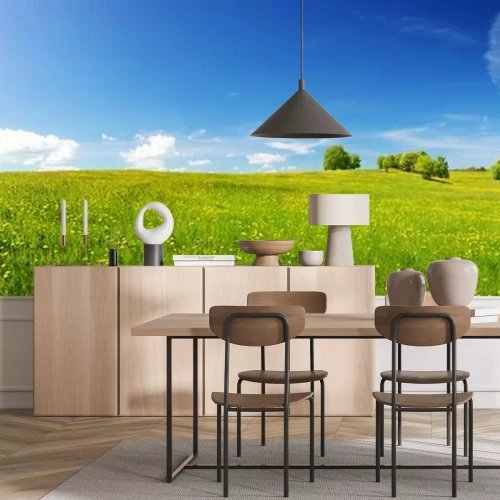 Papier peint  De l'herbe dans un paysage idyllique