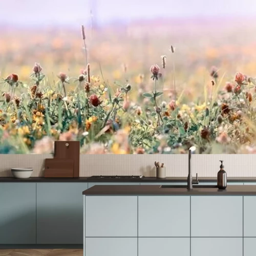 Papier peint  Prairie brûlée par le soleil et les fleurs