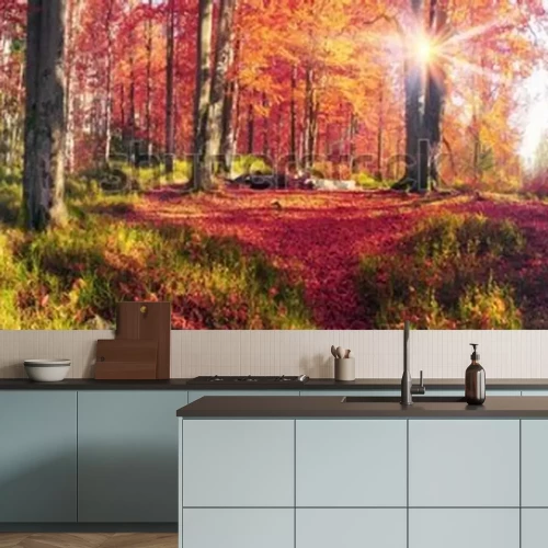 Papier peint  Paysage d'automne forêt le matin avec des feuilles colorées