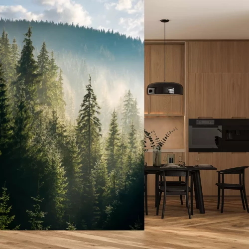 Sticker  Champs de conifères