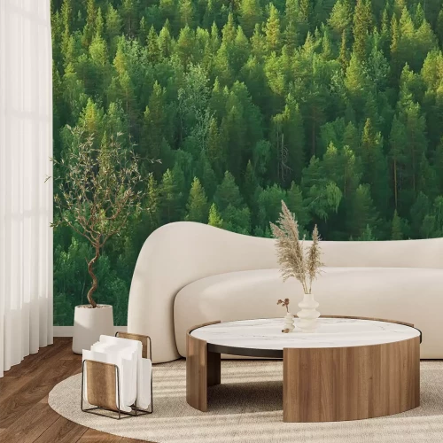 Papier peint  Arbres verts de la taïga