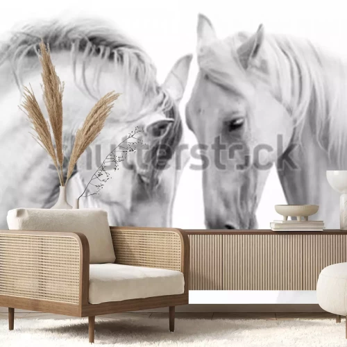 Papier peint  Portrait noir et blanc animaux majestueux