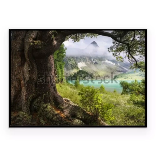 Visualisation du produit