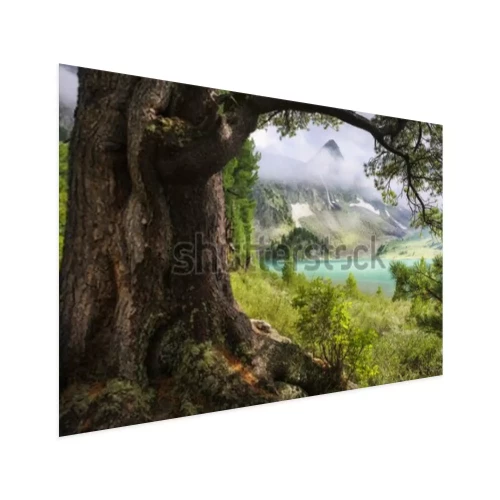 Visualisation du produit