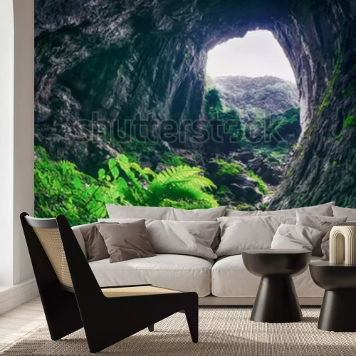 Papier peint  Continent et végétation