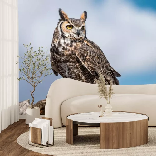 Papier peint  Hibou grand duc