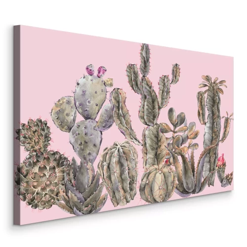 Tableau  Cactus à l'aquarelle avec des fleurs sur fond rose