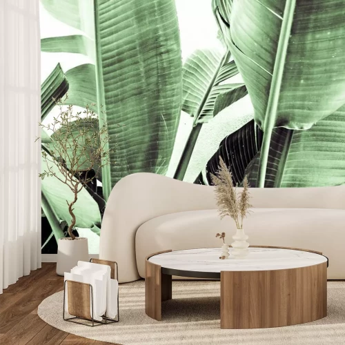 Papier peint  Feuilles de bananier
