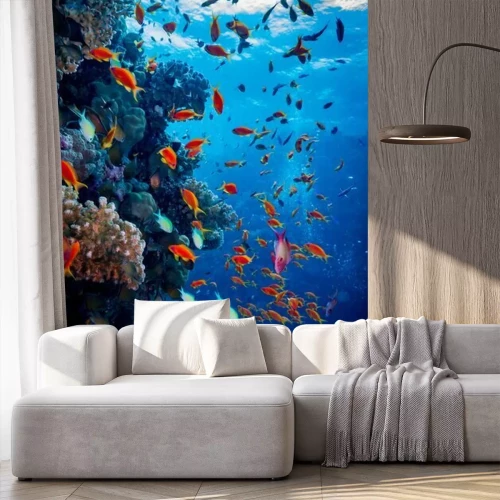 Papier peint  Jeu de couleurs du récif corallien dans la mer